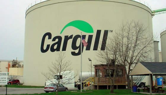 Cargil Egesay Süt Çiftliği