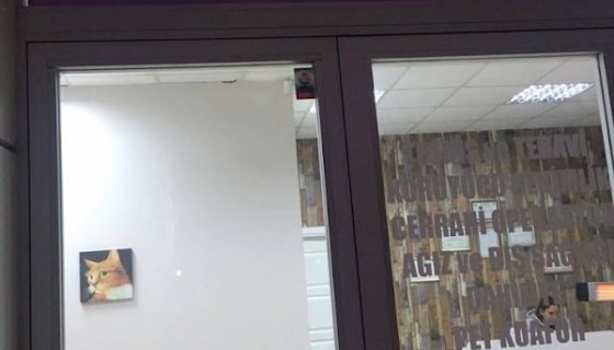 Asklepion Veteriner Kliniği